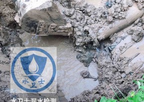 黄骅水管漏水检测公司5